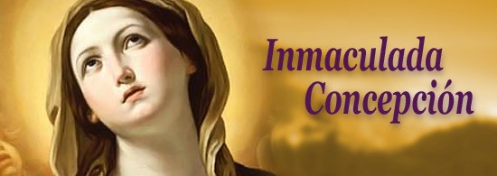 Solemnidad Inmaculada Concepción
