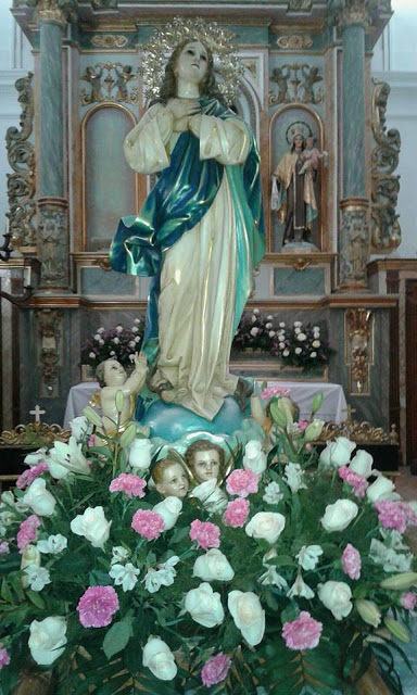 Últimas fiestas del año en El Toboso. Santa Cecilia y la Inmaculada Concepción de María