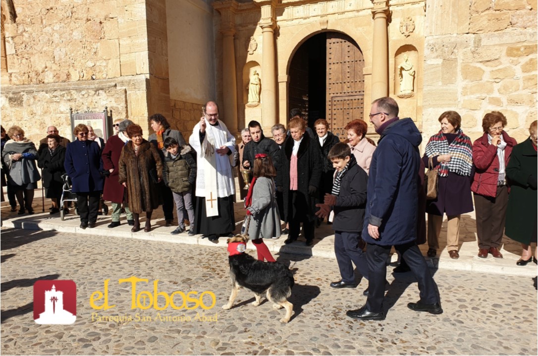 Con la tradicional «Bendición de animales» dieron inicio las fiestas en honor a San Antón y San Sebastián en El Toboso
